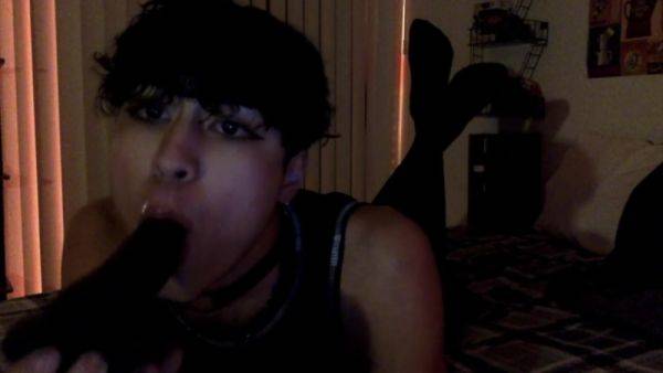 Femboy Sucks On Big Dildo And Jerks Off - shemalez.com on ashemalesex.com